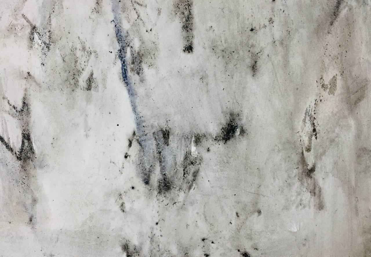 Habib Rezaei, a greyful abstract acrylic on paper works