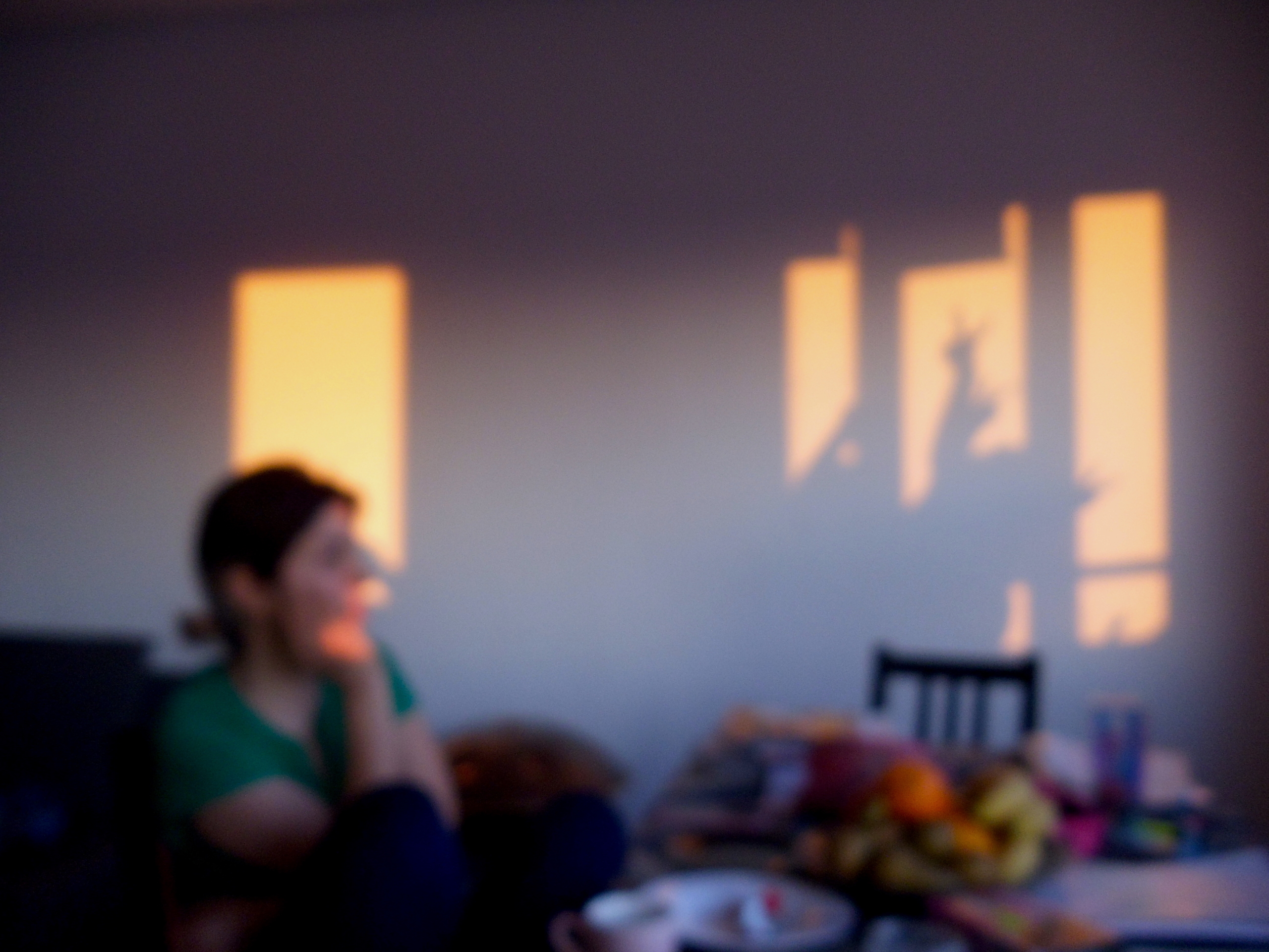 Habib Rezaei, An interior blurry Photo with a female personage and some active shadows