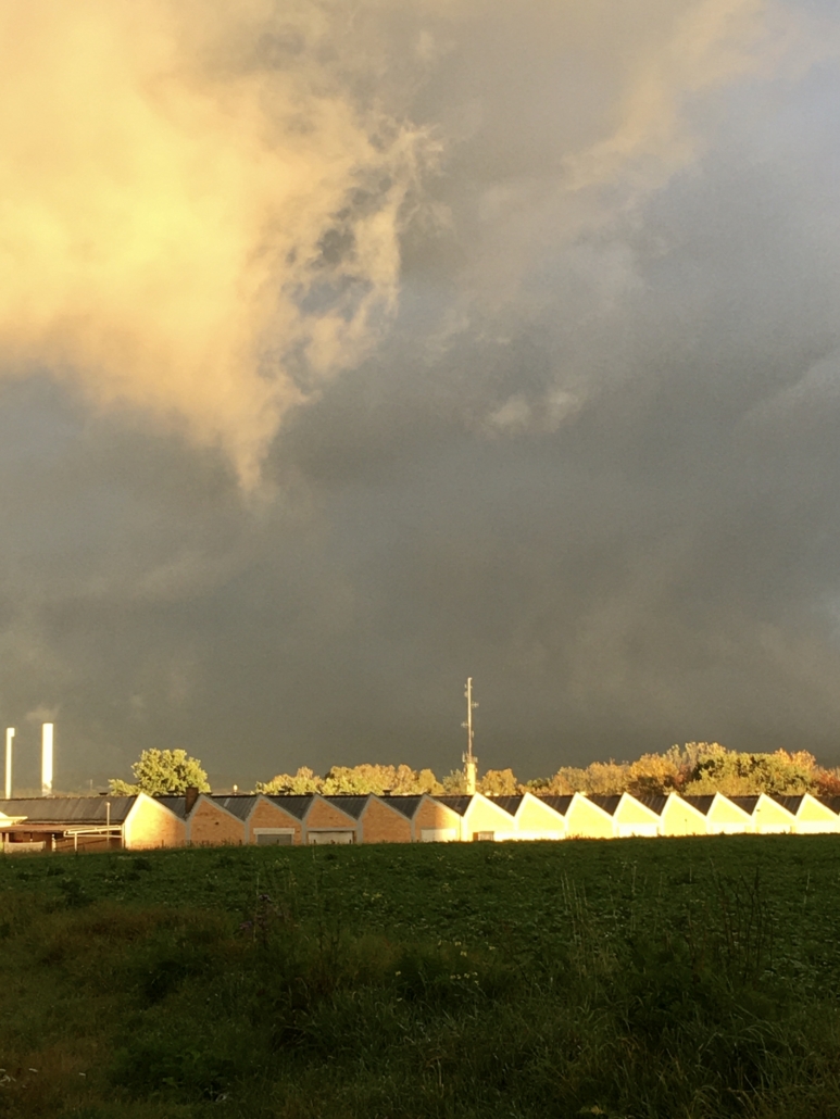 Habib Rezaei, a vertical warm yellow photo of a landscape