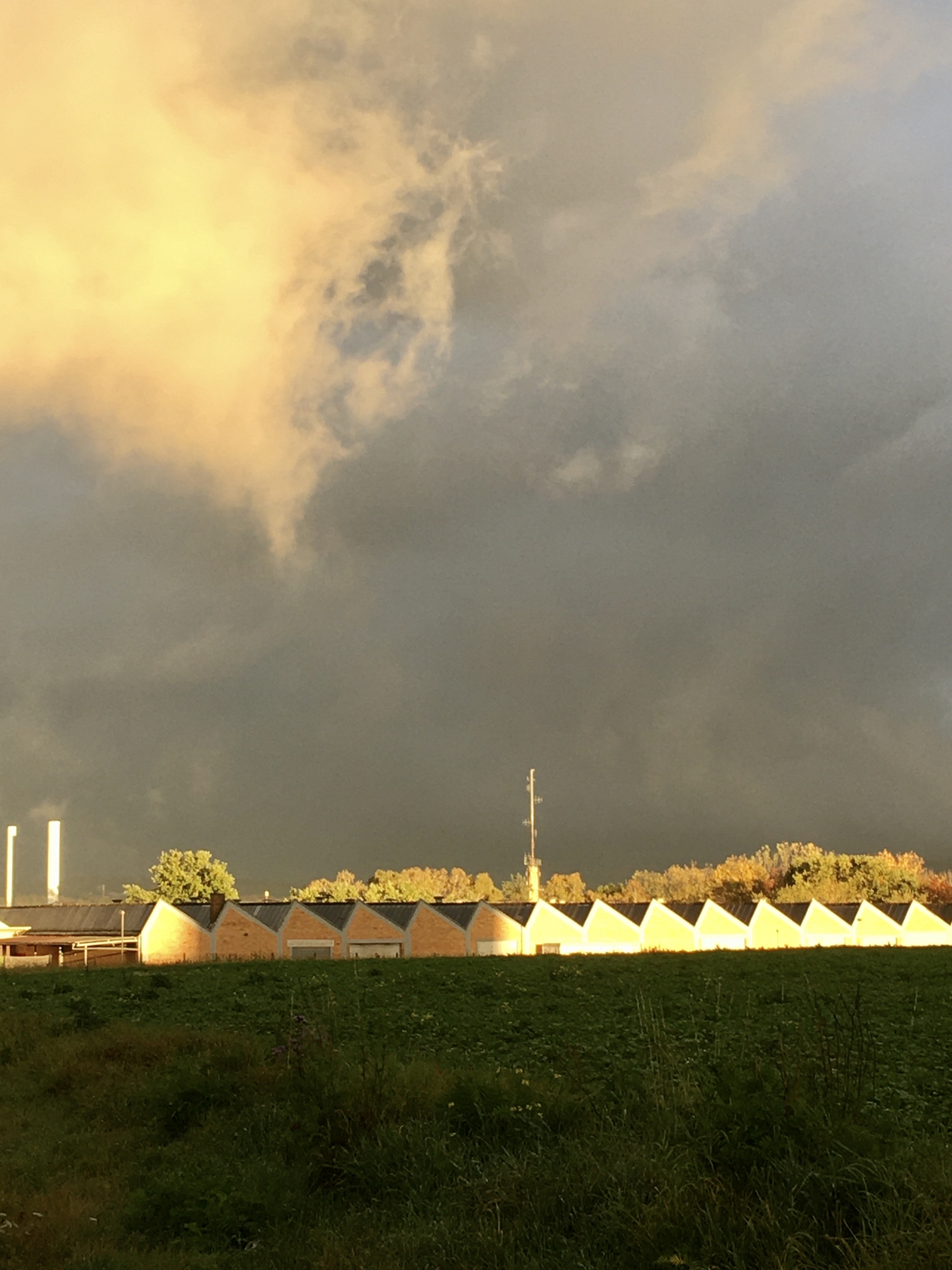 Habib Rezaei, a vertical warm yellow photo of a landscape