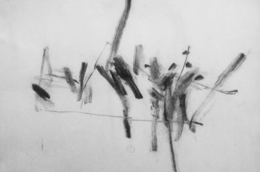 Habib Rezaei, a vertical abstract drawing with jagged lines and small stocks using charcoals on paper