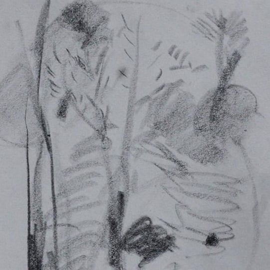 Habib Rezaei, a life drawing with conte on paper