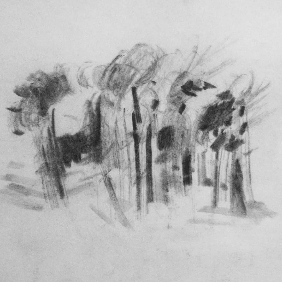 Habib Rezaei, a abstract drawing with vertical lines and small stocks using charcoals on paper