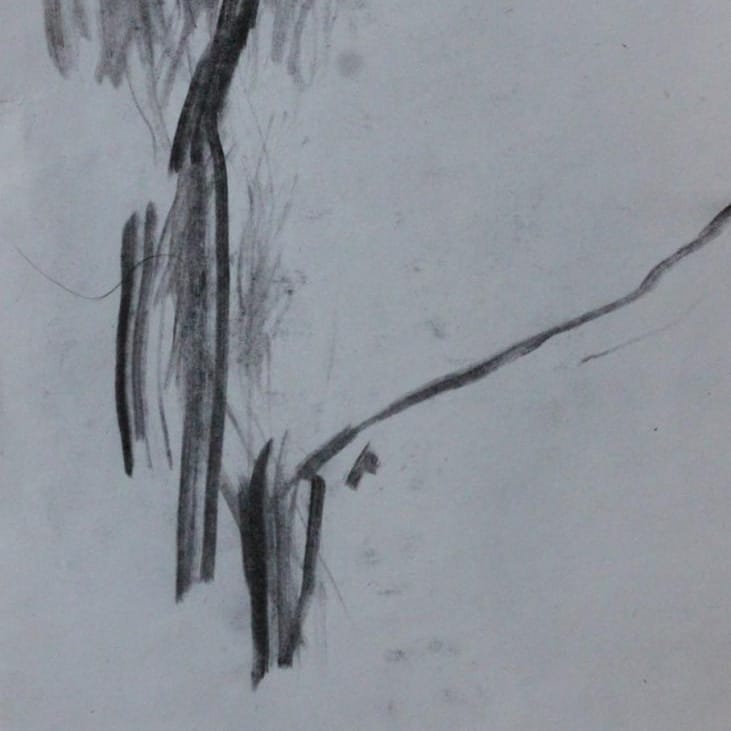 Habib Rezaei, a abstract drawing with charcoals on paper