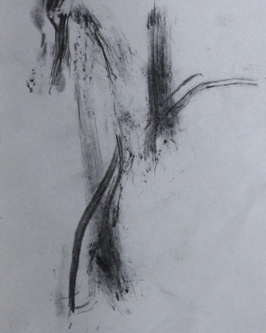 Habib Rezaei, a abstract life drawing with charcoals