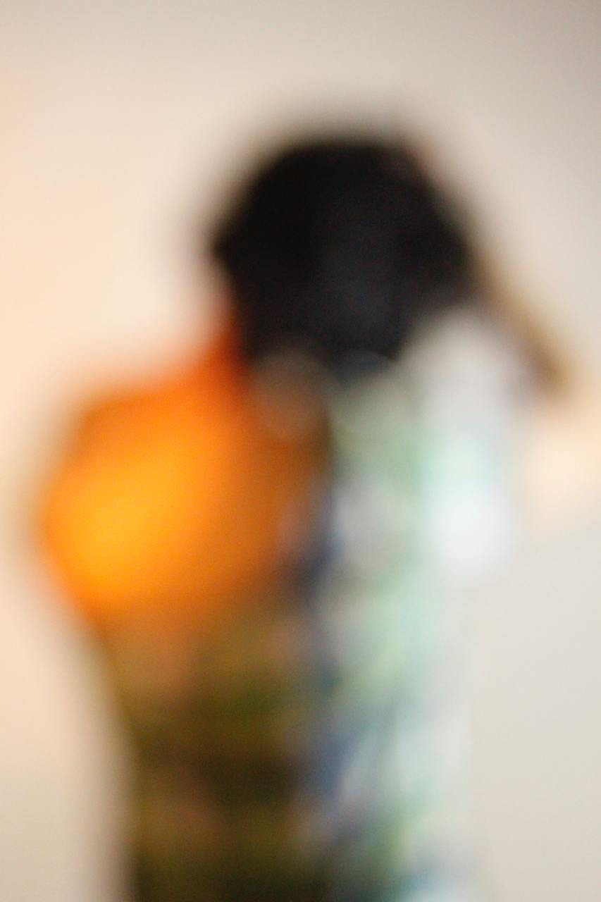 Habib rezaei , a blury photograph of a female