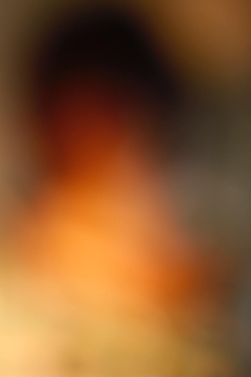 Habib Rezaei , A high blurry Photo of a female personage